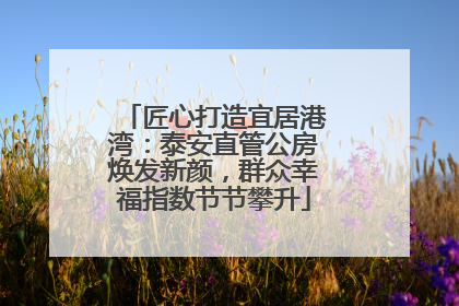 匠心打造宜居港湾：泰安直管公房焕发新颜，群众幸福指数节节攀升