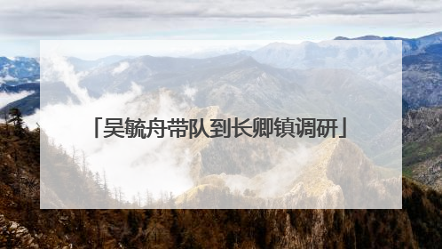 吴毓舟带队到长卿镇调研