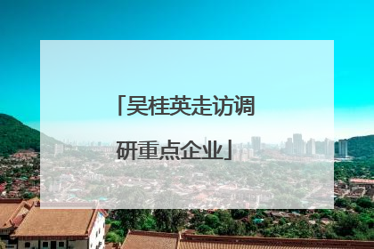 吴桂英走访调研重点企业