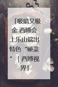 吸睛又吸金 西博会上乐山端出特色“硬菜”｜西博视界