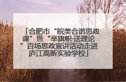 合肥市“皖美合谐思政课”暨“举旗帜·送理论”百场思政宣讲活动走进庐江高新实验学校