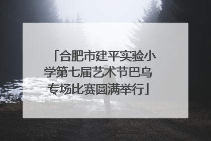 合肥市建平实验小学第七届艺术节巴乌专场比赛圆满举行