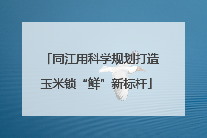 同江用科学规划打造玉米锁“鲜”新标杆