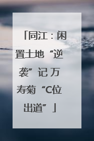同江：闲置土地“逆袭”记 万寿菊“C位出道”