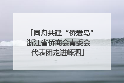 同舟共建“侨爱岛” 浙江省侨商会青委会代表团走进嵊泗