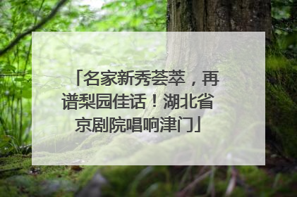 名家新秀荟萃，再谱梨园佳话！湖北省京剧院唱响津门