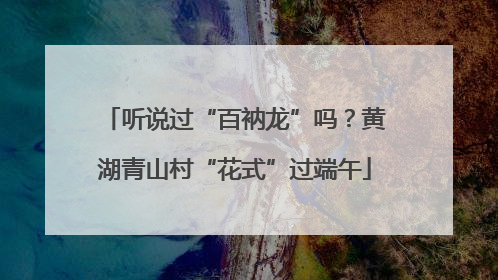 听说过“百衲龙”吗？黄湖青山村“花式”过端午