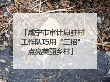 咸宁市审计局驻村工作队巧用“三招”点亮美丽乡村
