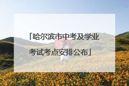 哈尔滨市中考及学业考试考点安排公布