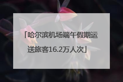 哈尔滨机场端午假期运送旅客16.2万人次