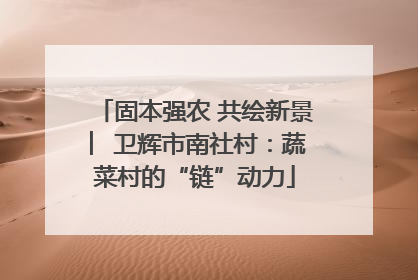 固本强农 共绘新景 ︳卫辉市南社村：蔬菜村的“链”动力