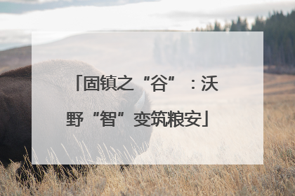 固镇之“谷”：沃野“智”变筑粮安