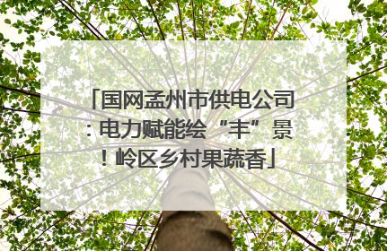 国网孟州市供电公司：电力赋能绘“丰”景！岭区乡村果蔬香