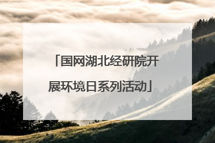 国网湖北经研院开展环境日系列活动