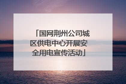 国网荆州公司城区供电中心开展安全用电宣传活动