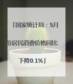 国家统计局：5月份居民消费价格同比下降0.1%