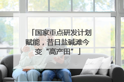 国家重点研发计划赋能，昔日盐碱滩今变“高产田”