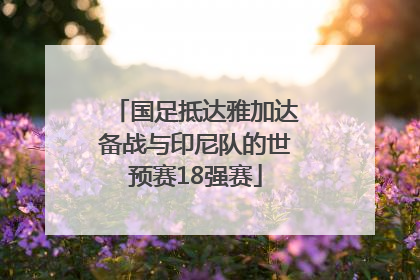 国足抵达雅加达备战与印尼队的世预赛18强赛