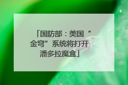 国防部：美国“金穹”系统将打开潘多拉魔盒