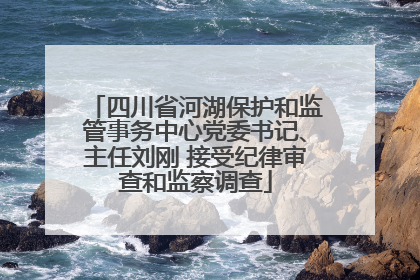 四川省河湖保护和监管事务中心党委书记、主任刘刚 接受纪律审查和监察调查