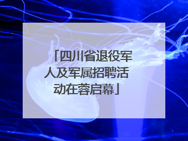四川省退役军人及军属招聘活动在蓉启幕
