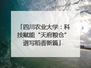 四川农业大学：科技赋能“天府粮仓”谱写稻香新篇