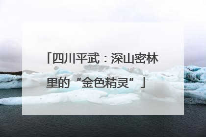 四川平武：深山密林里的“金色精灵”