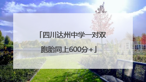四川达州中学一对双胞胎同上600分+