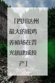 四川达州最大的蛋鸡养殖场在普光镇建成投产