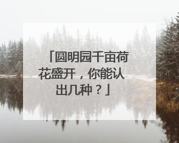 圆明园千亩荷花盛开，你能认出几种？