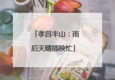 孝昌丰山：雨后天晴插秧忙