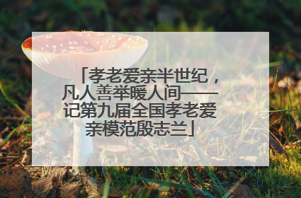 孝老爱亲半世纪，凡人善举暖人间——记第九届全国孝老爱亲模范殷志兰