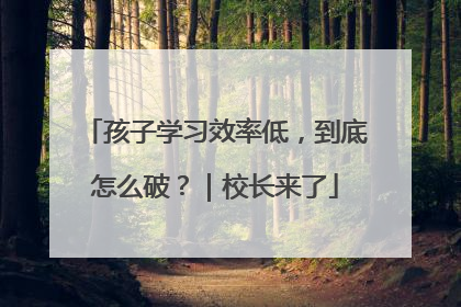 孩子学习效率低，到底怎么破？｜校长来了