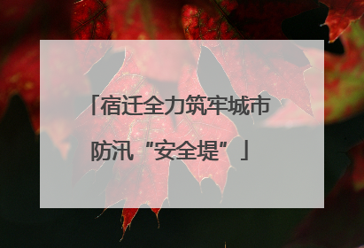 宿迁全力筑牢城市防汛“安全堤”