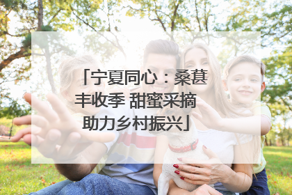 宁夏同心：桑葚丰收季 甜蜜采摘助力乡村振兴