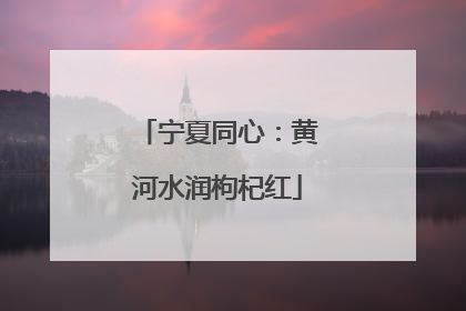 宁夏同心：黄河水润枸杞红