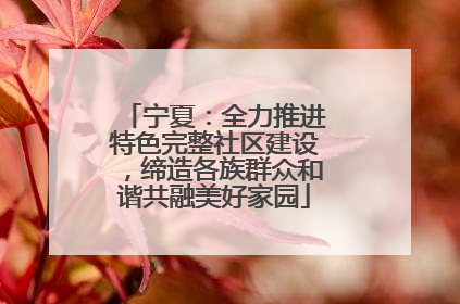 宁夏：全力推进特色完整社区建设，缔造各族群众和谐共融美好家园