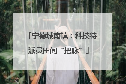 宁德城南镇：科技特派员田间“把脉”