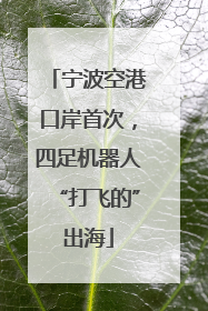宁波空港口岸首次，四足机器人“打飞的”出海