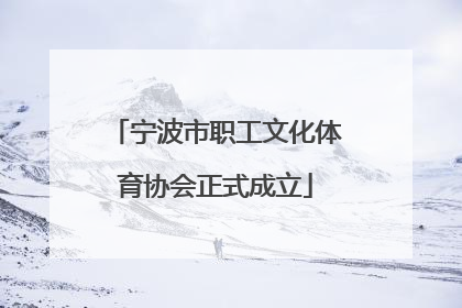 宁波市职工文化体育协会正式成立