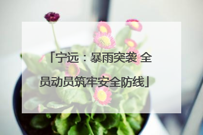 宁远：暴雨突袭 全员动员筑牢安全防线