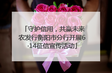 守护信用，共赢未来 农发行衡阳市分行开展6·14征信宣传活动