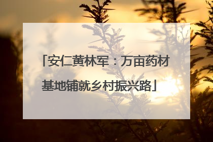 安仁黄林军：万亩药材基地铺就乡村振兴路