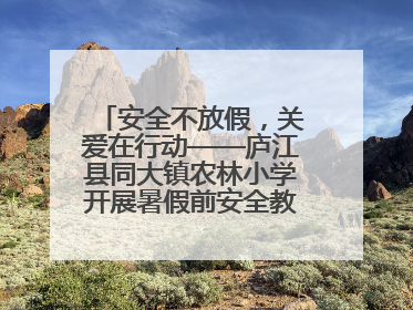 安全不放假，关爱在行动——庐江县同大镇农林小学开展暑假前安全教育大家访