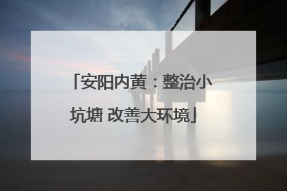 安阳内黄：整治小坑塘 改善大环境