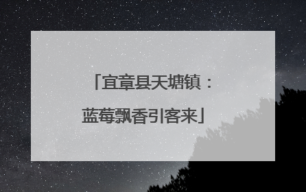 宜章县天塘镇：蓝莓飘香引客来