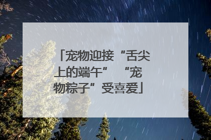 宠物迎接“舌尖上的端午” “宠物粽子”受喜爱