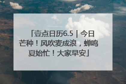 壹点日历6.5｜今日芒种！风吹麦成浪，蝉鸣夏始忙！大家早安