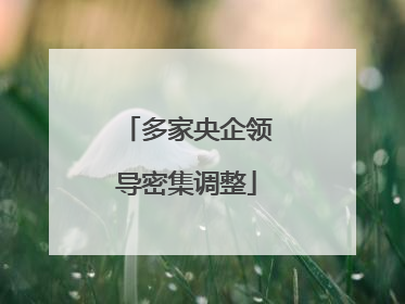 多家央企领导密集调整