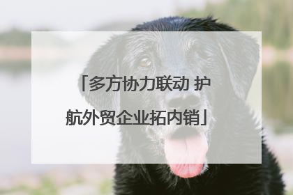 多方协力联动 护航外贸企业拓内销